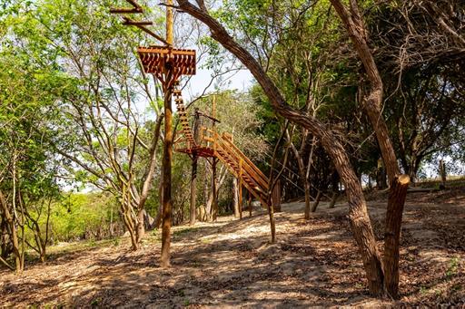 33 alterada omnibees.jpg