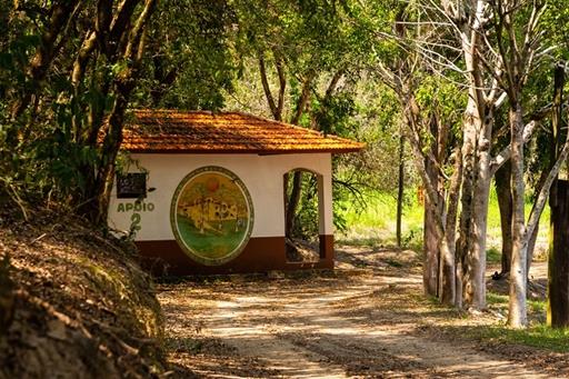 42 alterada omnibees.jpg