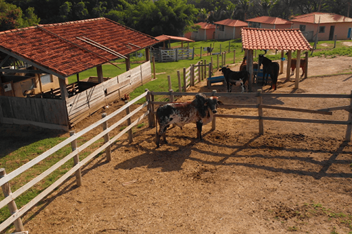 02 alterada omnibees.png