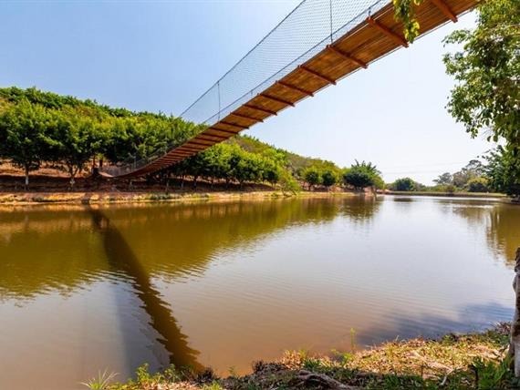 32 alterada omnibees.jpg