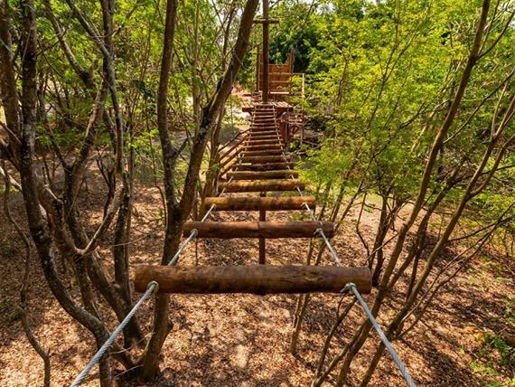 34 alterada omnibees.jpg