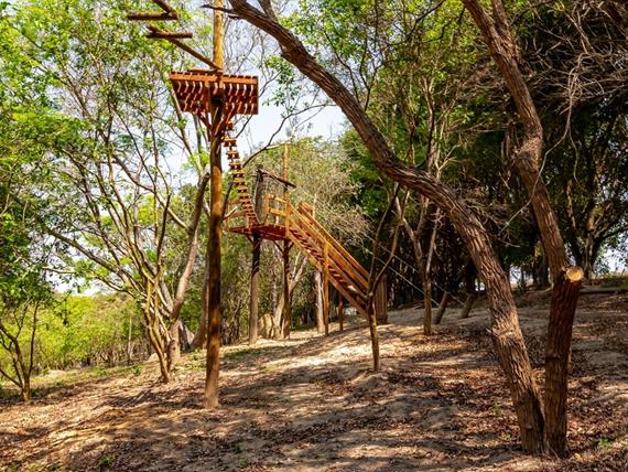 33 alterada omnibees.jpg