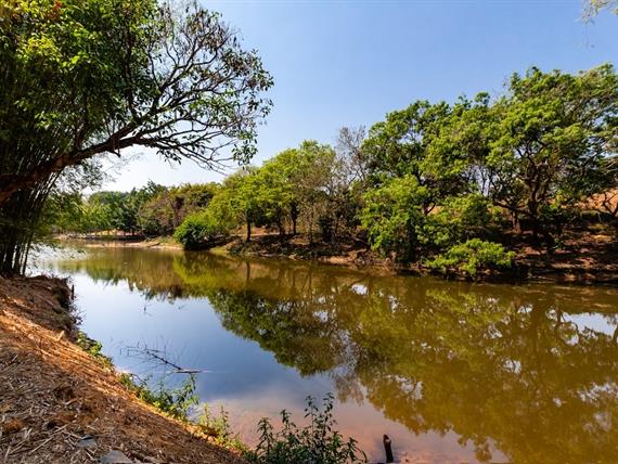 43 alterada omnibees.jpg