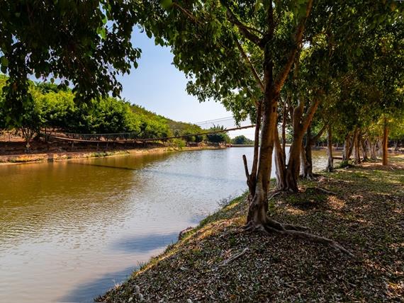 44 alterada omnibees.jpg