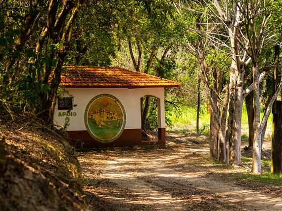 42 alterada omnibees.jpg