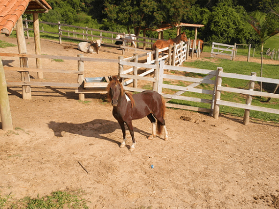 03 alterada omnibees.png