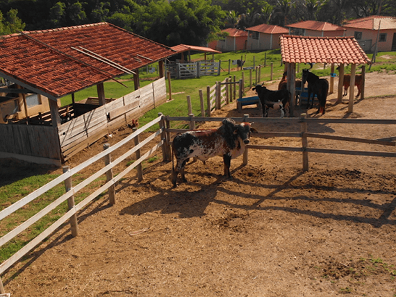 02 alterada omnibees.png