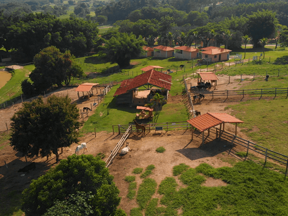 01 alterada omnibees.png