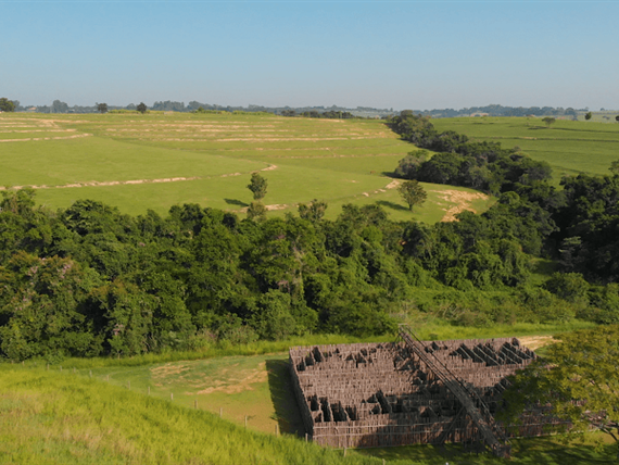 23 alterada omnibees.png