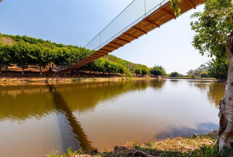 32 alterada omnibees.jpg