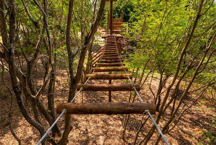 34 alterada omnibees.jpg