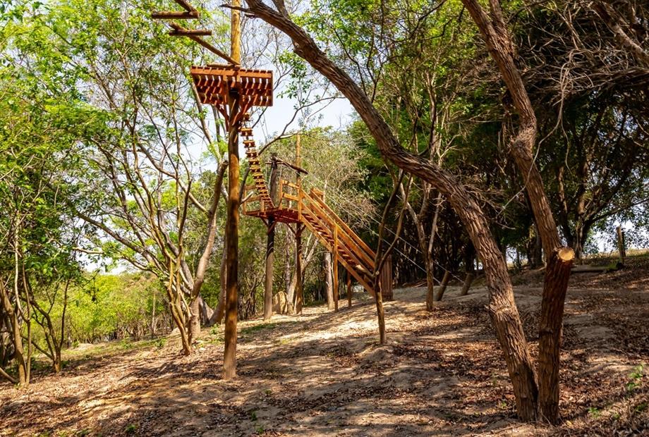 33 alterada omnibees.jpg