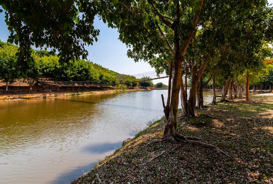 44 alterada omnibees.jpg