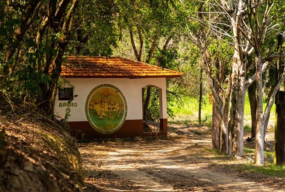 42 alterada omnibees.jpg