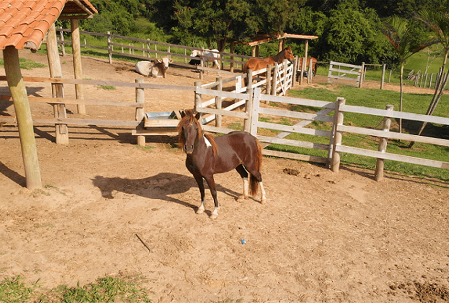 03 alterada omnibees.png