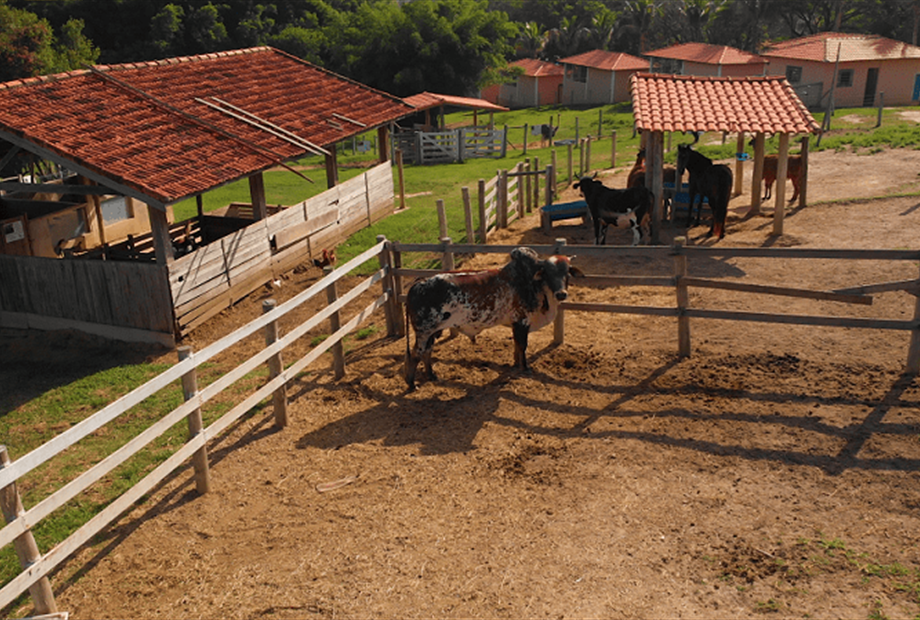 02 alterada omnibees.png