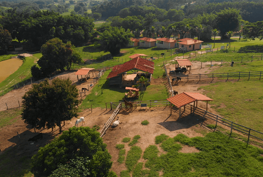 01 alterada omnibees.png