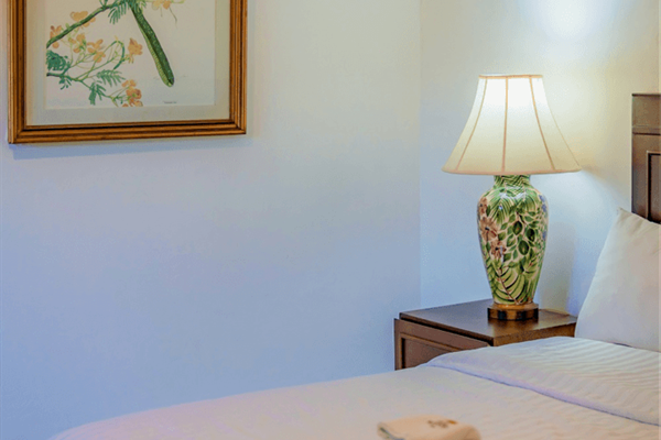 Photo 43 of Maison del Embajador by Kavia
