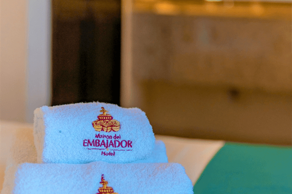 Photo 8 of Maison del Embajador by Kavia