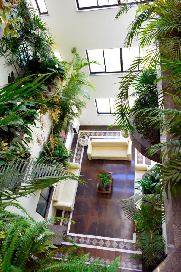 Condall Palace Hotel 5