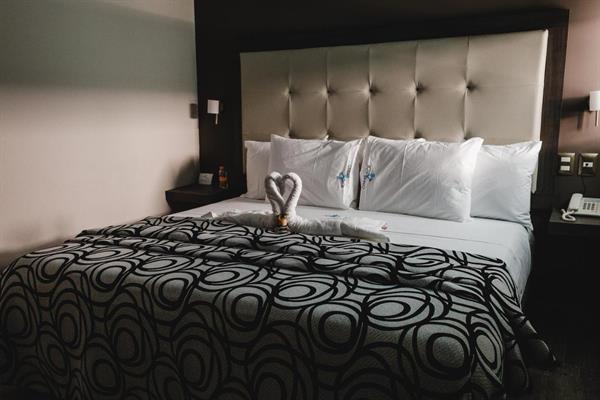 Photo 40 of Hotel Flamingo Merida by Kavia