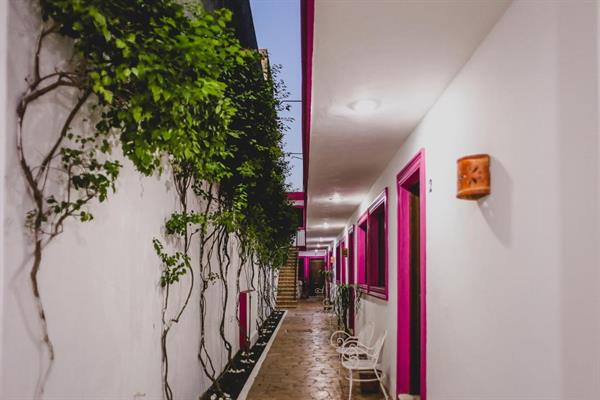 Photo 11 of Hotel Gran Centenario by Kavia