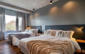 Apartamento Pinha do Jangal Das Araucarias Swan Design Hotel Canela