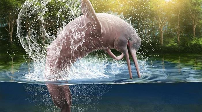 BOTO COR-DE-ROSA XPerience - 3 noites (P)