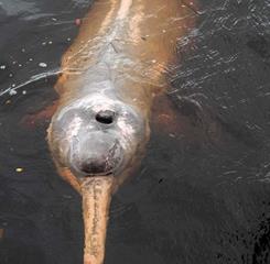 whatsapp image 2025-01-09 at 15.06.12.jpeg