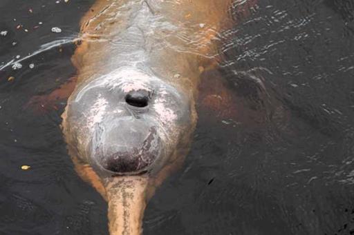 whatsapp image 2025-01-09 at 15.06.12.jpeg