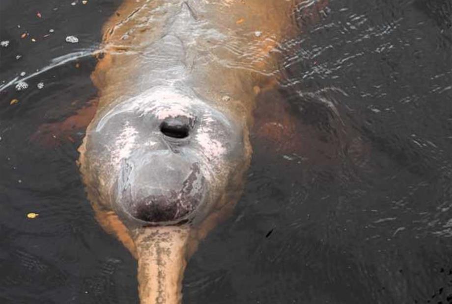 whatsapp image 2025-01-09 at 15.06.12.jpeg