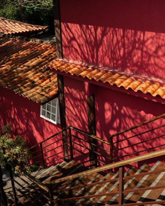 cópia de jubarte-12.jpg