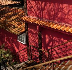 cópia de jubarte-12.jpg