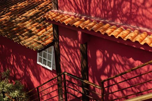 cópia de jubarte-12.jpg