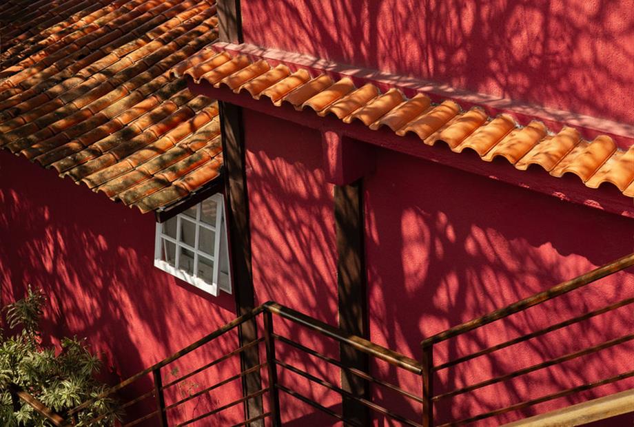 cópia de jubarte-12.jpg