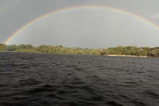 arcoirres na selva.jpeg