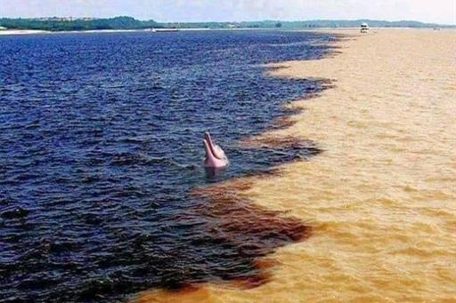 encontro das águas.jpeg