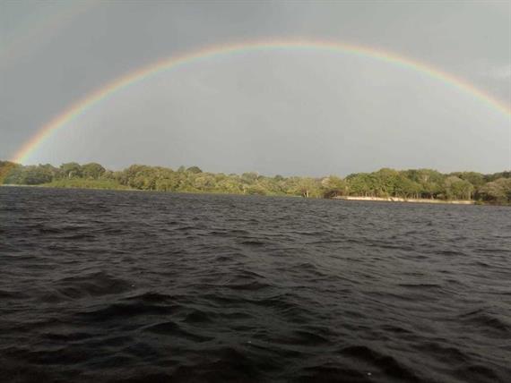 arcoirres na selva.jpeg