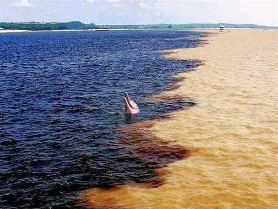 encontro das águas.jpeg