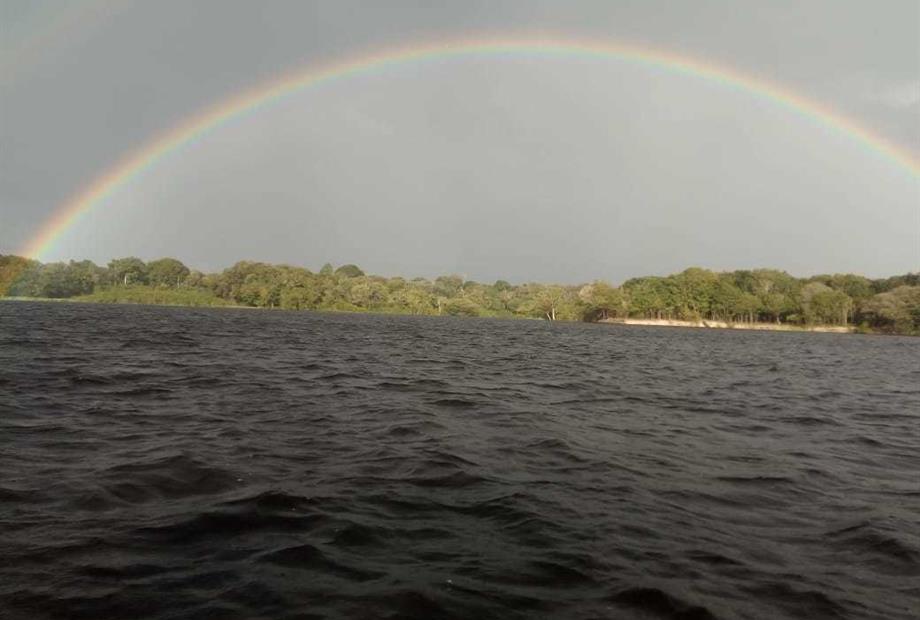 arcoirres na selva.jpeg