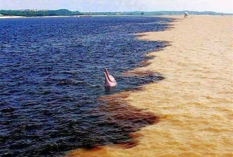 encontro das águas.jpeg