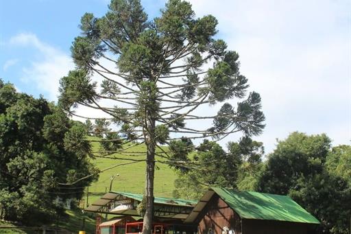 whatsapp image 2022-08-01 at 16.43.02 (1).jpeg