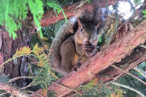 whatsapp image 2022-08-01 at 16.43.05 (1).jpeg