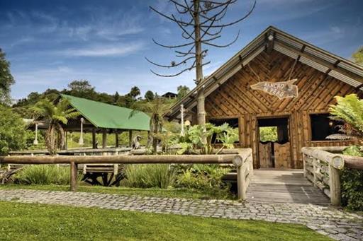 whatsapp image 2022-08-01 at 16.35.15.jpeg