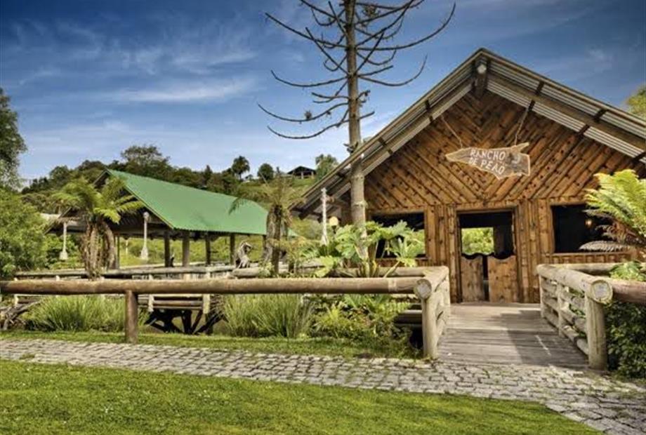 whatsapp image 2022-08-01 at 16.35.15.jpeg