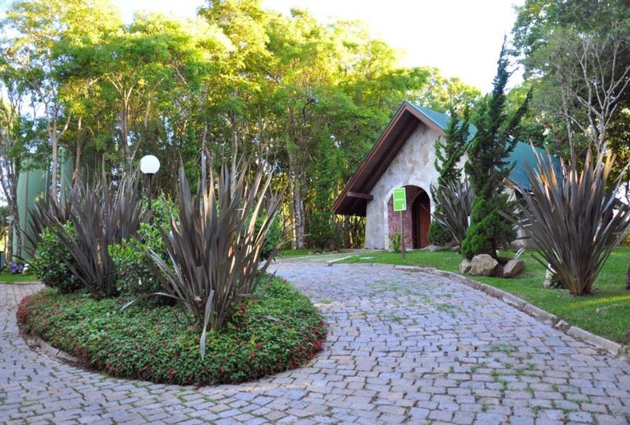 whatsapp image 2022-08-01 at 16.49.44.jpeg