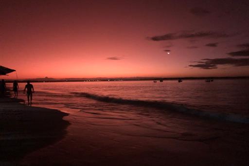 whatsapp image 2022-05-16 at 2.54.29 pm.jpeg