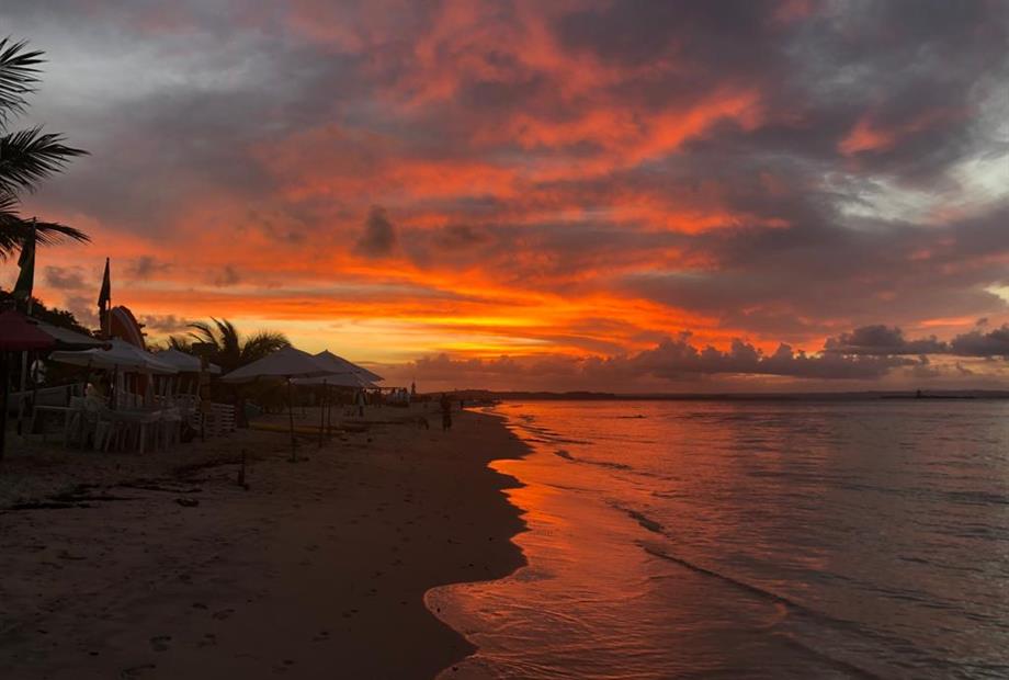 whatsapp image 2022-05-16 at 3.23.01 pm (3).jpeg