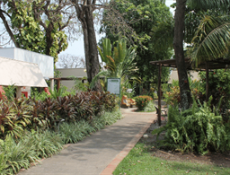 Hotel Fazenda Mato Grosso