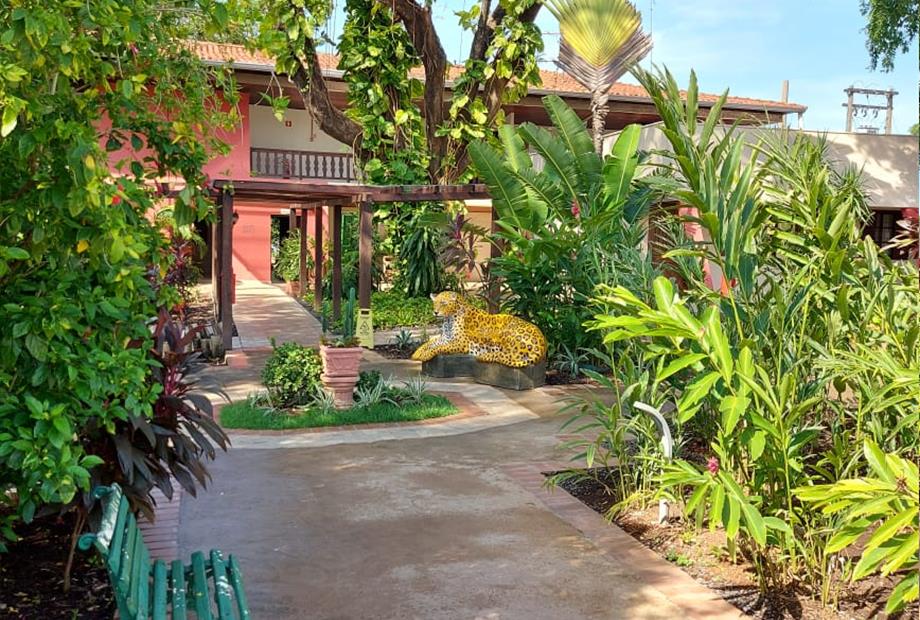 whatsapp image 2021-02-03 at 11.09.11 (2).jpeg